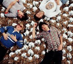 grizzlybear.jpg