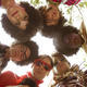 of Montreal
