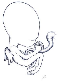 sigur.jpg sigur.jpg