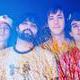 animal_collective.jpg