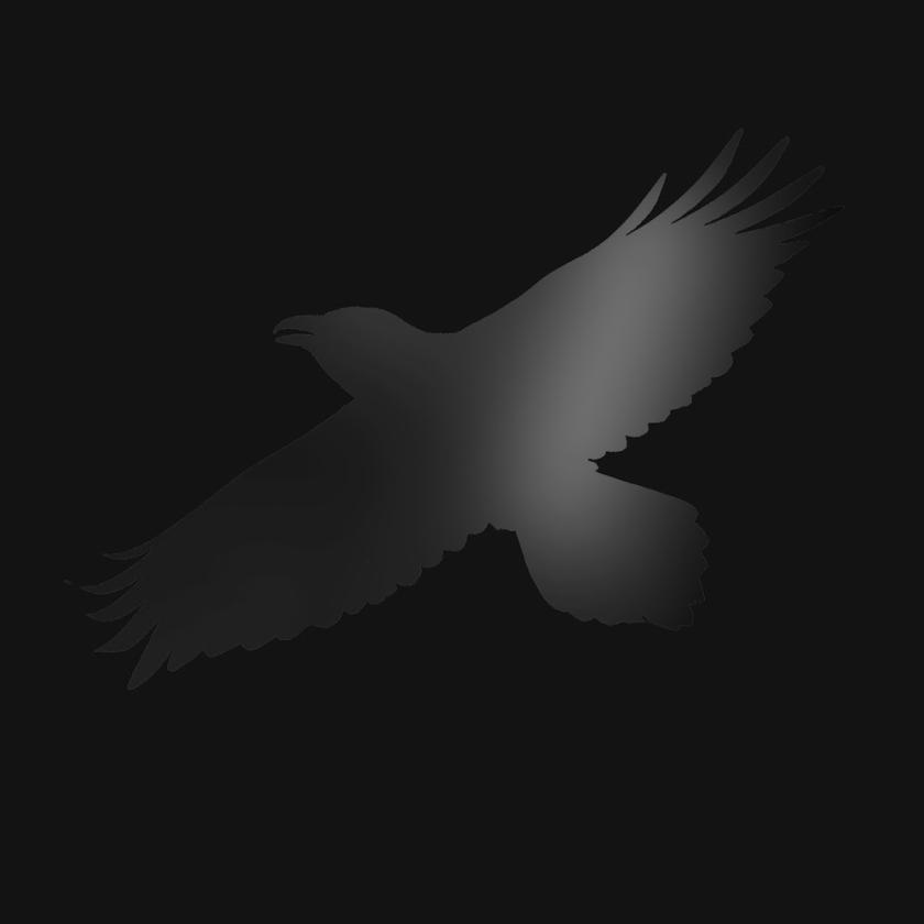 Odin’s Raven Magic Odin’s Raven Magic