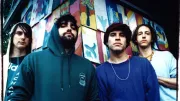 Animal Collective