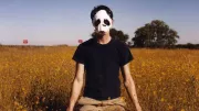 Panda Bear