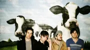 Black Lips