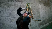 PJ Harvey