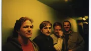 The Wrens
