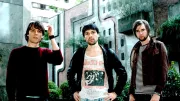 The Cribs
