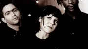Throwing Muses