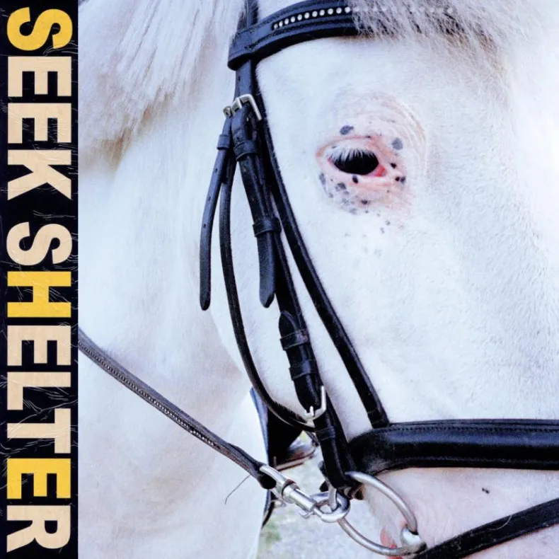 Seek Shelter Seek Shelter