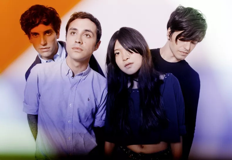 The Pains of Being Pure at Heart