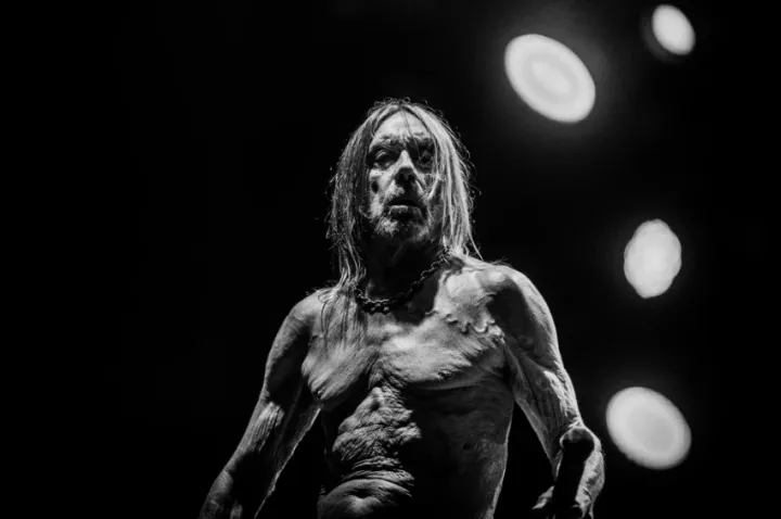 Iggy Pop Iggy Pop