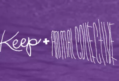 Animal Collective desenha coleção de tênis e presenteia compradores com música inédita