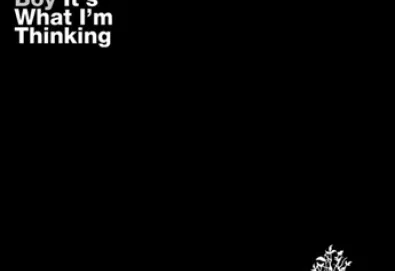 Badly Drawn Boy anuncia primeiro trabalho de sua trilogia musical