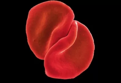 Peter Gabriel disponibiliza versão de "My Body is a Cage" do Arcade Fire