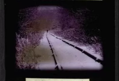 THE DECLINING WINTER - Goodbye Minnesota