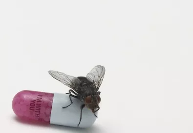 Red Hot Chili Peppers revela capa de seu 10º álbum de estúdio - 'I’m With You'