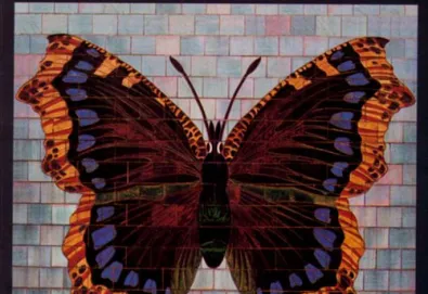 The House of Love (The Butterfly album)