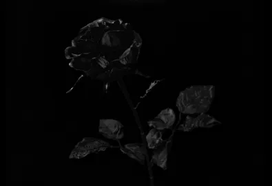 A Sleep & A Forgetting