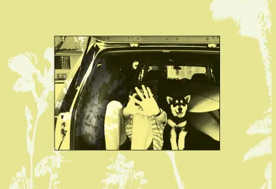 Moonlight Concessions