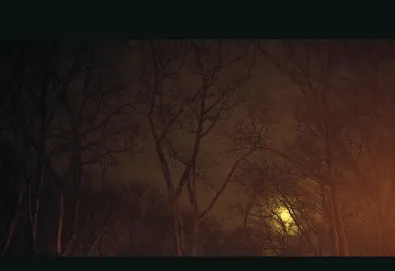 Strange Weather [EP]