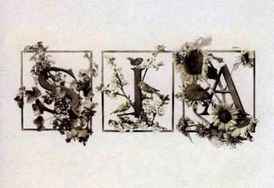 Colour the Small One