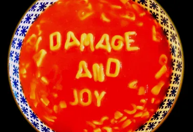Damage and Joy