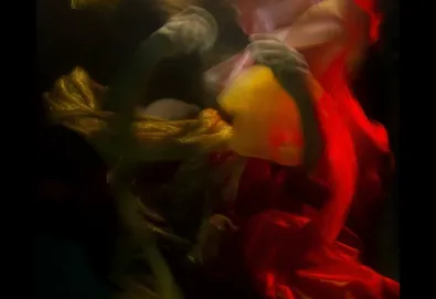 Until the Quiet Comes