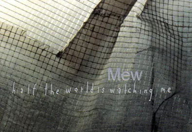 Half the World Is Watching Me