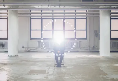 Awake in the Brain Chamber