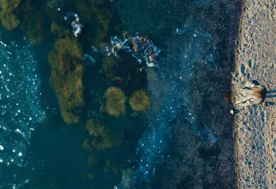 Healing Is a Miracle