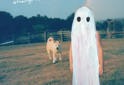 Stranger in the Alps