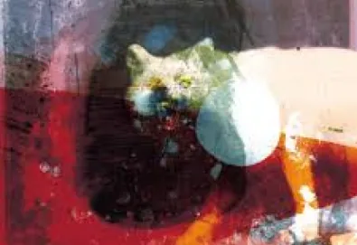 As the Love Continues