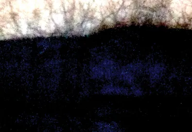 Songs of Love and Revolution