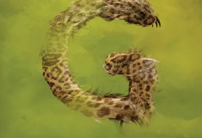 Strange Little Birds