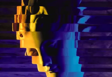 The Echo of Pleasure