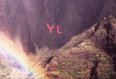 The Year of Hibernation