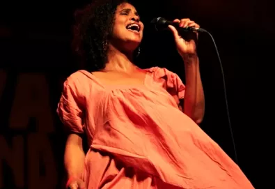 Neneh Cherry retorna ao cenário musical em 2014