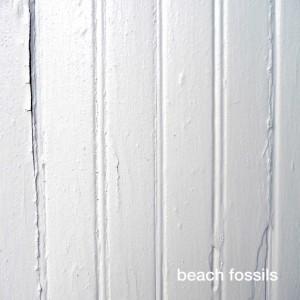 Beach Fossils