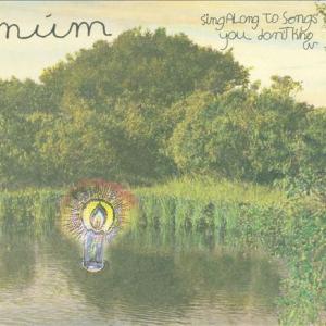 Sing Along to Songs You Don't Know