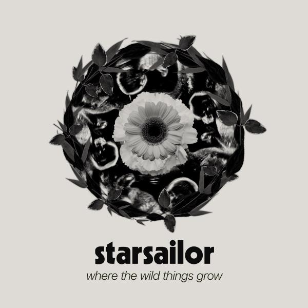Where the Wild Things Grow Where the Wild Things Grow